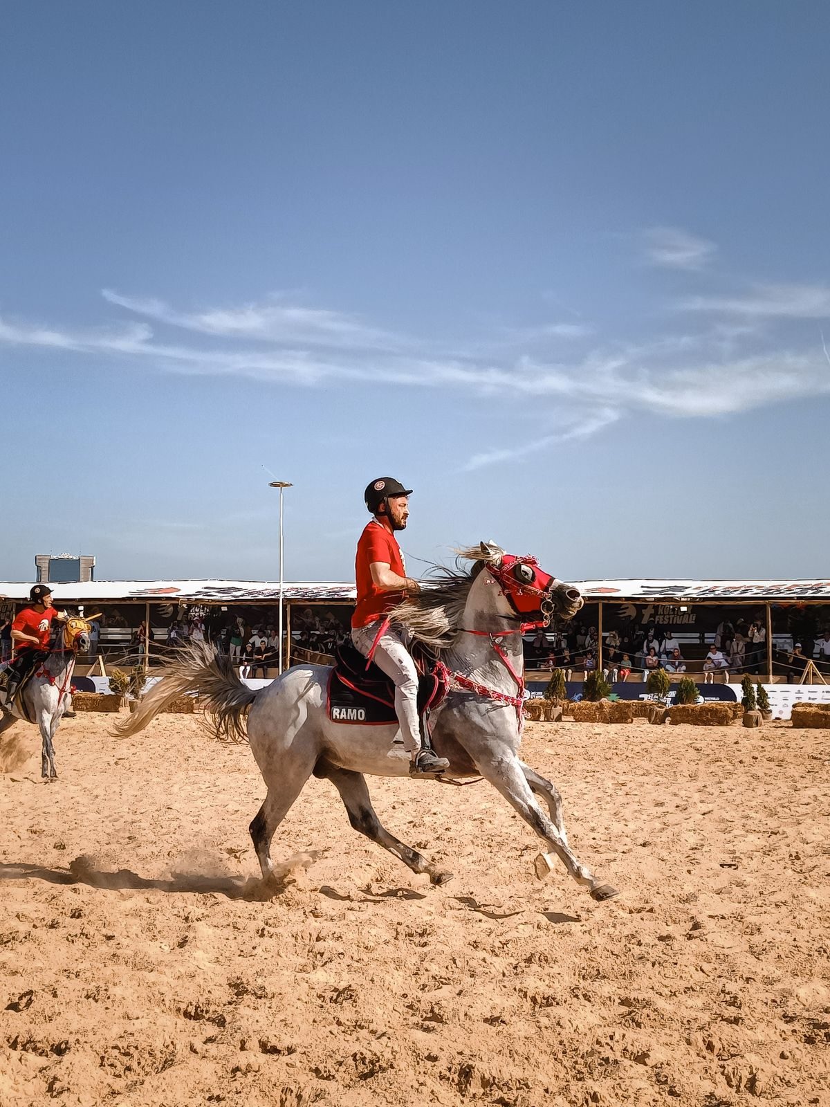 Paardenbak van Buurman Jan